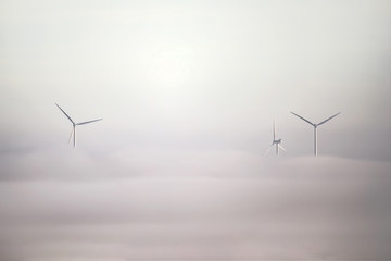 Foggy Windmills
