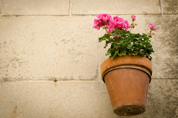 Fototapeta na wymiar Flowers in the vase 