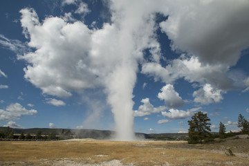 Yellowstone national park