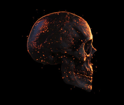 Burned Skull Side View Wallpaper 3D Illustration