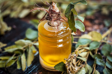 Murraya koenigii,Curry leaves with extracted oil in a transparent bottle.Concept of taking care of...