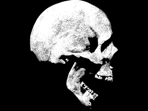 skull screaming illustration isolated in background