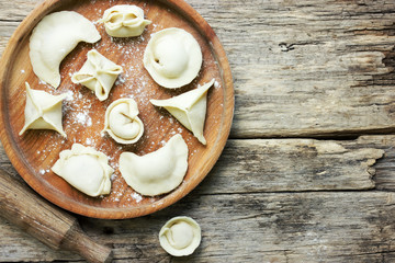 Different types of homemade pasta with stuffing - dumplings, vareniki, manti, tortellini, agnolotti, ravioli, gedza, dim sum