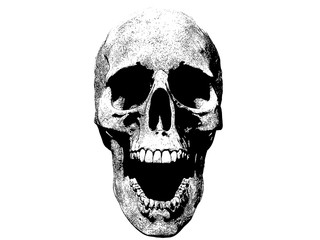 skull screaming illustration isolated in background