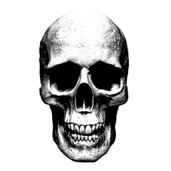 Obraz premium illustration of a skull isolated background 