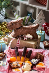 chocolate dogs and candy on light background and candied fruit