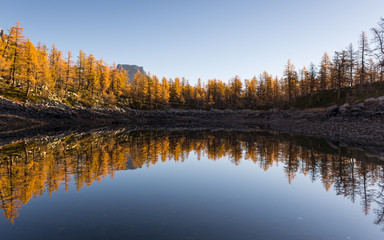 Mountain lake colorful larches reflection in sunny autumn fall day outdoor.