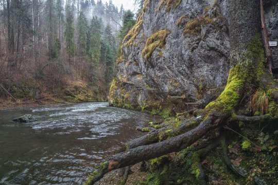 Beautiful Canyon created by Hornad River in Slovensky Raj (Slovak Paradise), Slovakia