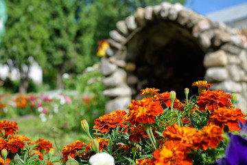 Flowers in the garden