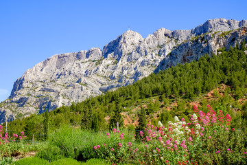 Vue sur la montagne Sainte-Victoire au printemps.  Fleurs de valériane rouge au premier plan. France, Provence.