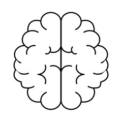 brain human isolated icon vector illustration design