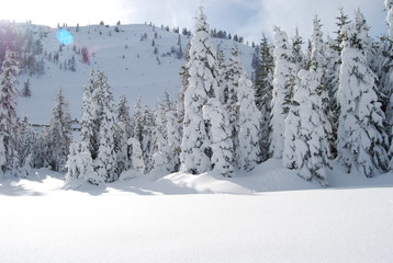 Alpi d'inverno