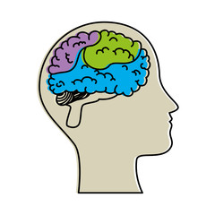 human profile with brain vector illustration design