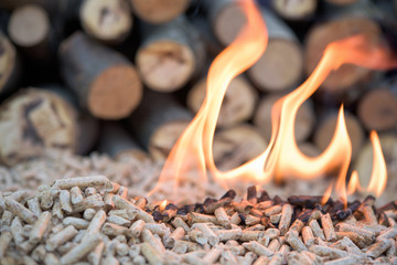 Burning biomass bellets