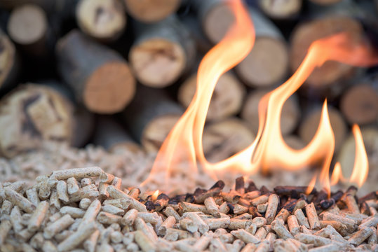 Burning biomass bellets