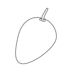Mango delicious fruit icon vector illustration graphic design