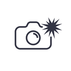 Camera icon vector illustration. Isolated photocamera with flash symbol. Photo camera line concept. Photo gadget graphic design. Editable Stroke
