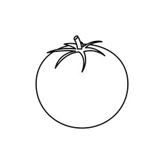 tomato vegetable icon image vector illustration design 