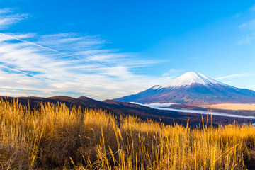 The Mt.Fuji.The foreground is pampas grass.Shot in the early morning.The shooting location is Lake Yamanakako, Yamanashi prefecture Japan.