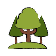 Trees nature ecology icon vector illustration graphic design