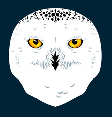Portrait of an owl 