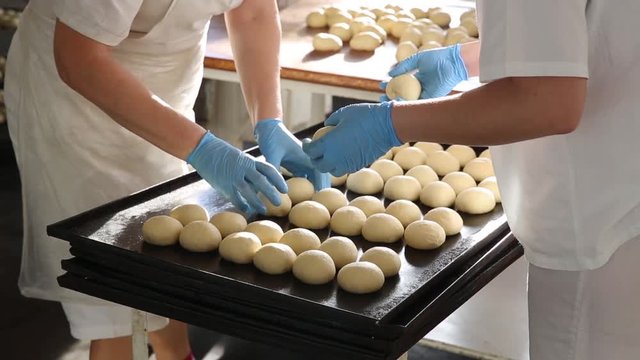 Confectioners make desserts. Making buns. Dough on the table. Knead the dough. Hands arranging bread for oven in a bakery. At the bakery, preparing dough to be made buns, bread factory.