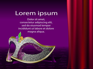 Mardi Gras or Veneеian carnival mask. Vector illustration © Alexey