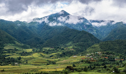 Fototapeta na wymiar Rice field in valley mountain with tribe village