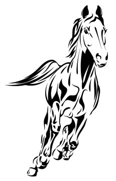 Beautiful horse image, vector