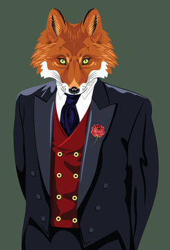 Portrait of fox in the men's business suit and hat