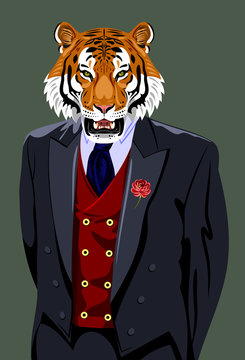 Portrait of tiger in the men's business suit and hat