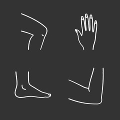 Obraz premium Human body parts chalk icons set