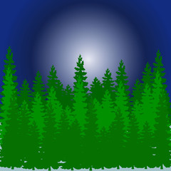 Fototapeta premium Forest from a Christmas tree, at night in winter, cartoon on a white background,