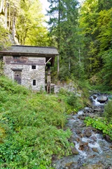 Foto op Plexiglas Molens Oude watermolen in het bosstruikgewas. West-Karinthië, Oostenrijk
