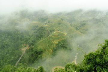 Fototapeta premium scenery with rice fields in terraces under the rain and the fog in the Sapa vale in Vietnam.