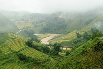 scenery with rice fields in terraces under the rain and the fog in the Sapa vale in Vietnam.