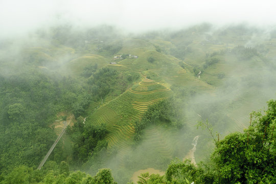 scenery with rice fields in terraces under the rain and the fog in the Sapa vale in Vietnam. © ahau1969