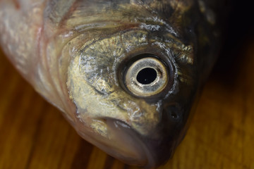 fish head