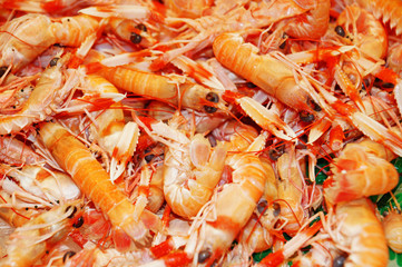 Fresh prawns lie on the cold ice. Sale of shrimp. Fresh seafood is isolated on ice. Red prawns isolated on white ice.