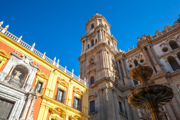 Fototapeta na wymiar Malaga Cathedral wide angle perspecitve, Andalusia, Spain