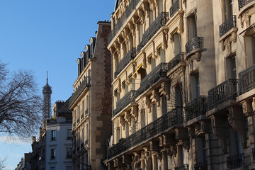 Fototapeta na wymiar Paris architecture