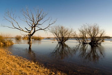 Rzeka Biebrza © podlaski49