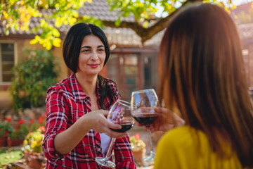 Women friends toasting red wine