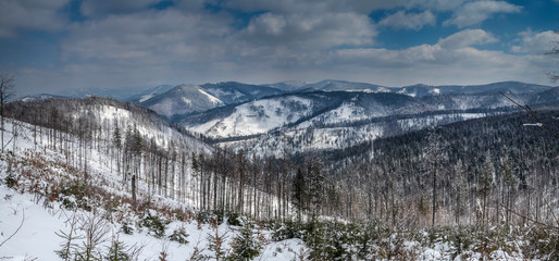 Fototapeta na wymiar Panorama of the winter landscape in the mountains.