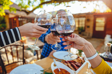 Family toasting at lunch at backyard patio