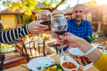 Family toasting at lunch at backyard patio