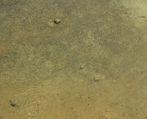 Sand and water background of a beach, texture. 