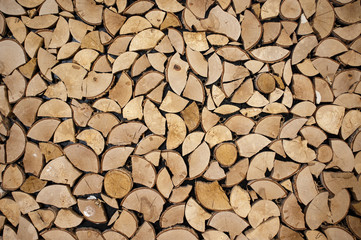 wall decorated with cross cuts of chopped trees