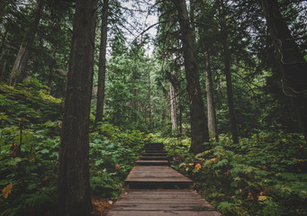 Obraz premium Revelstoke