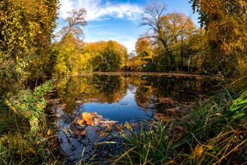 Teich mit Spiegelung im farbenfrohen Herbstlaub, Wonderful day in autumn with colorful trees at a silent lake